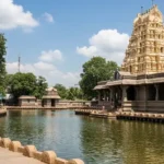 Exploring the Hidden Gems of Real Ooru: A Comprehensive Guide