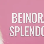 Angora Cat Splendor: Beauty, Care & Breed Guide