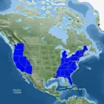 Pacific Standard Time Timezone: The Ultimate Planning Guide